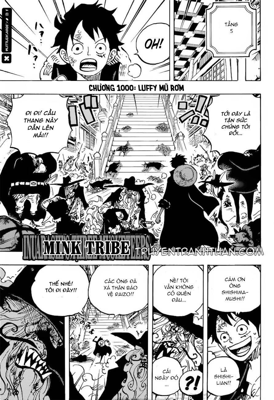 One Piece Tập 1000 - Trang 1