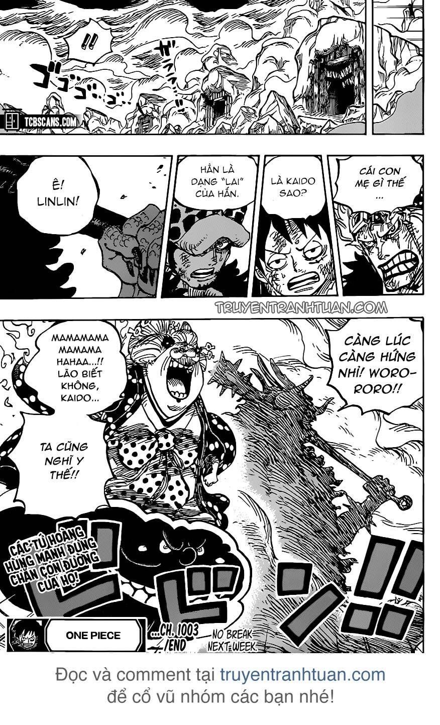 One Piece Tập 1003 - Trang 13