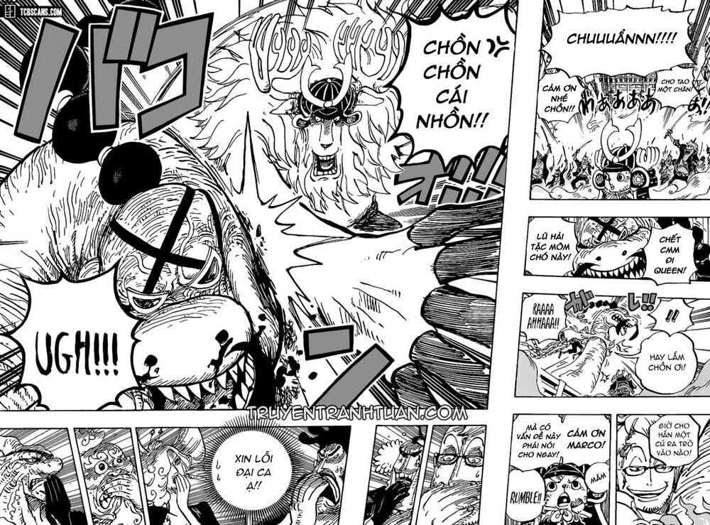 One Piece Tập 1007 - Trang 12