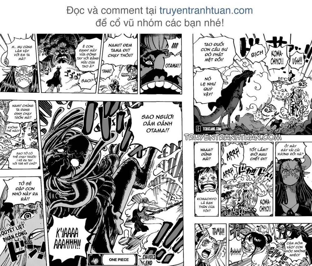 One Piece Tập 1012 - Trang 14