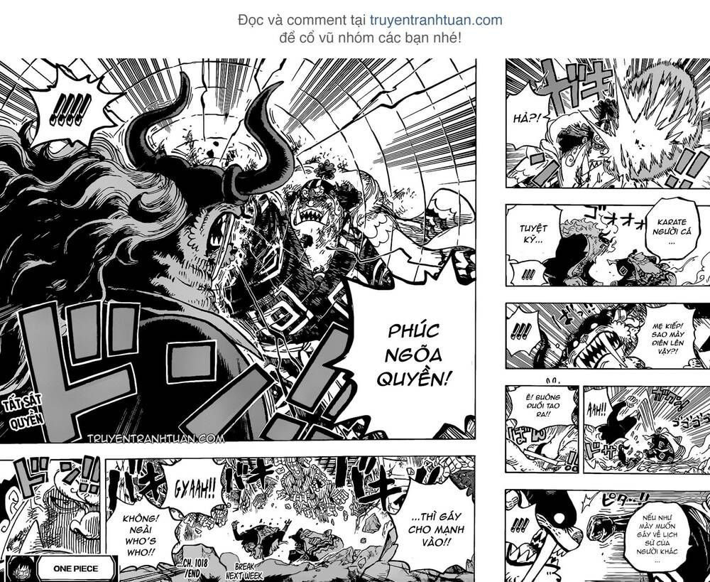One Piece Tập 1018 - Trang 16