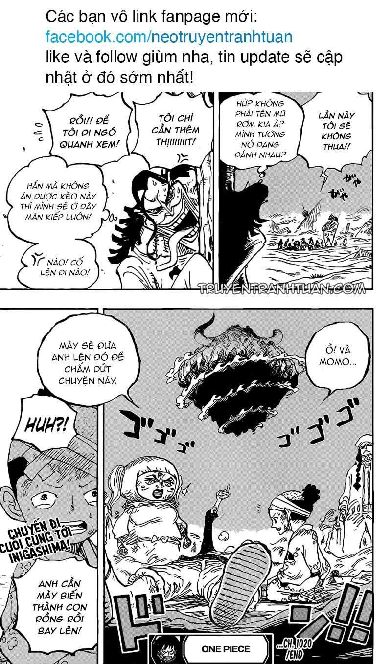 One Piece Tập 1020 - Trang 17