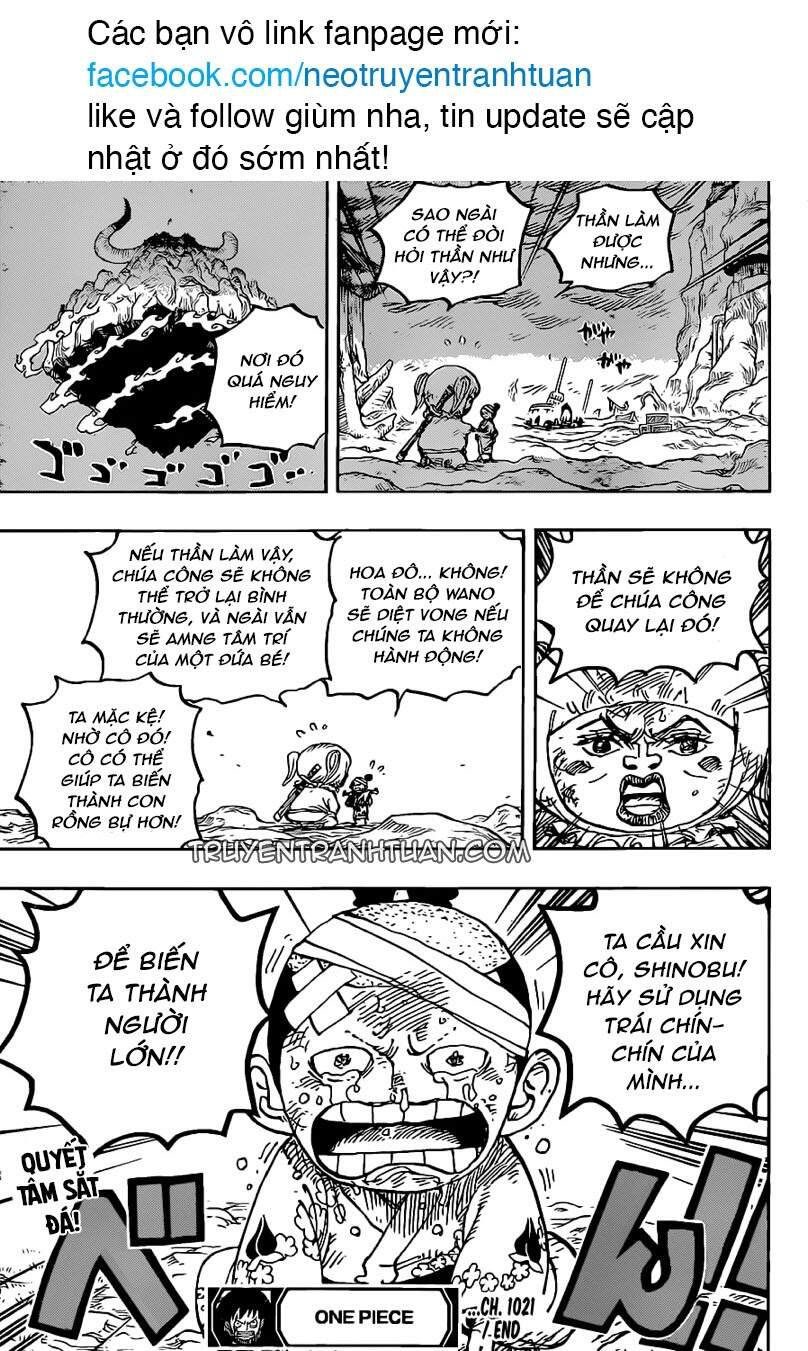 One Piece Tập 1021 - Trang 16