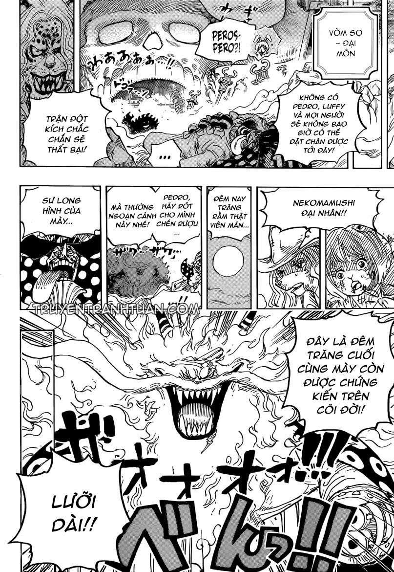 One Piece Tập 1023 - Trang 15