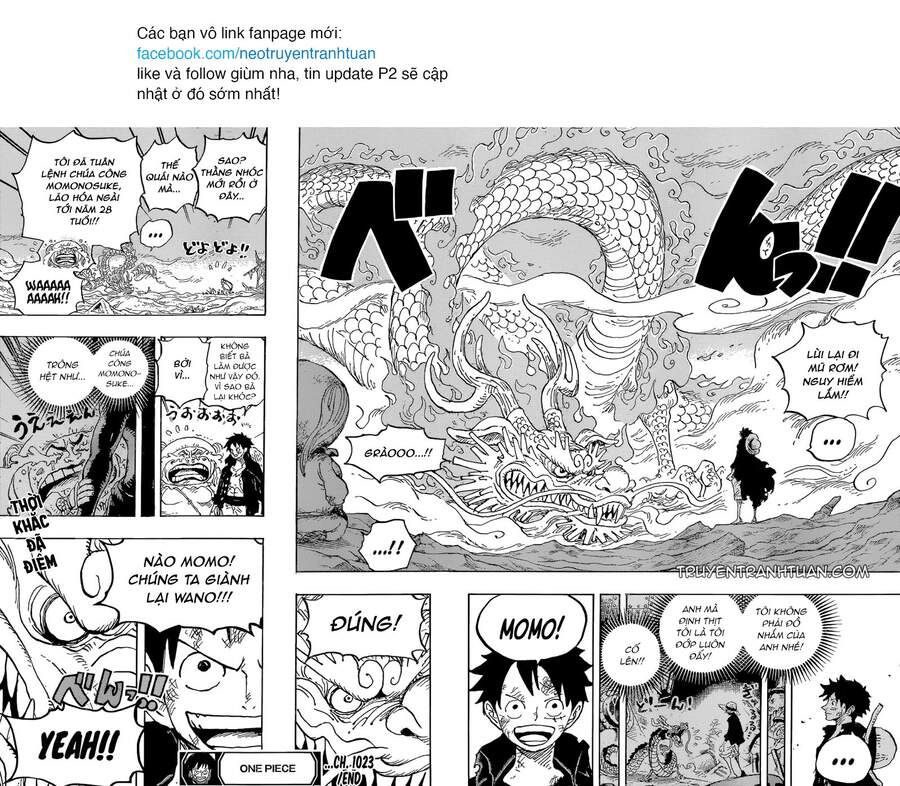 One Piece Tập 1023 - Trang 17