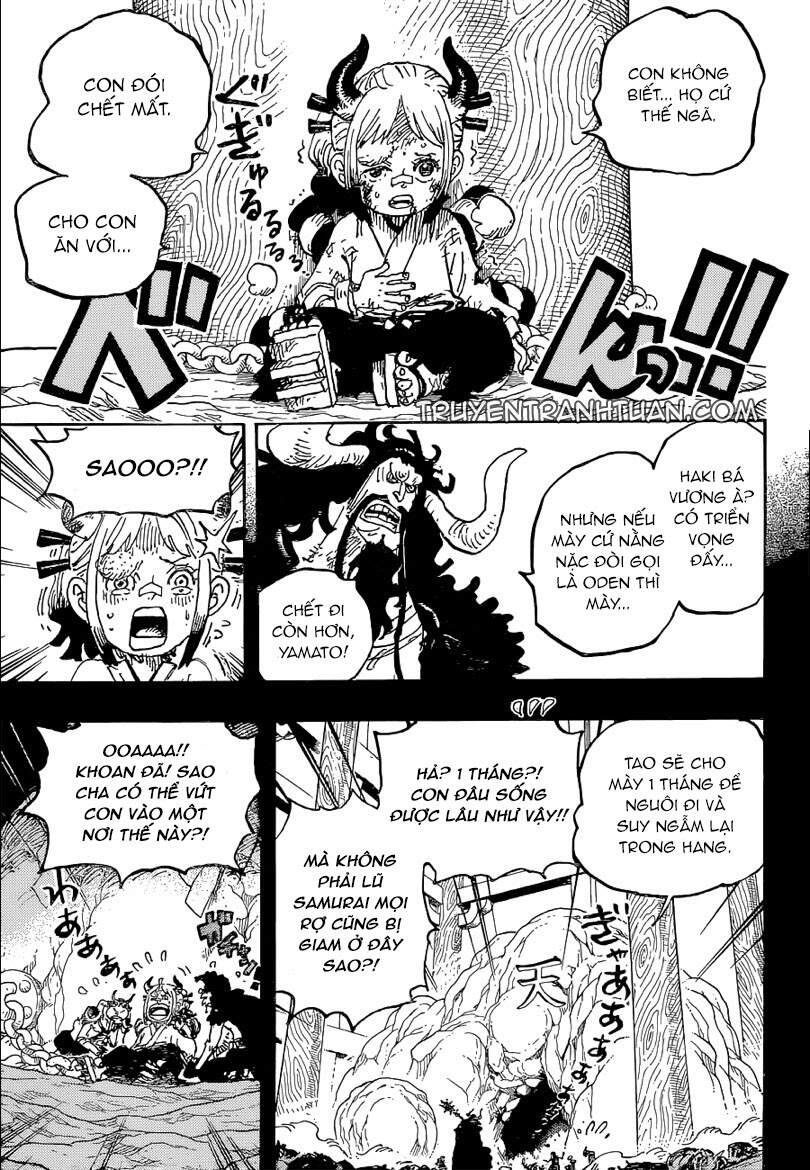 One Piece Tập 1024 - Trang 12
