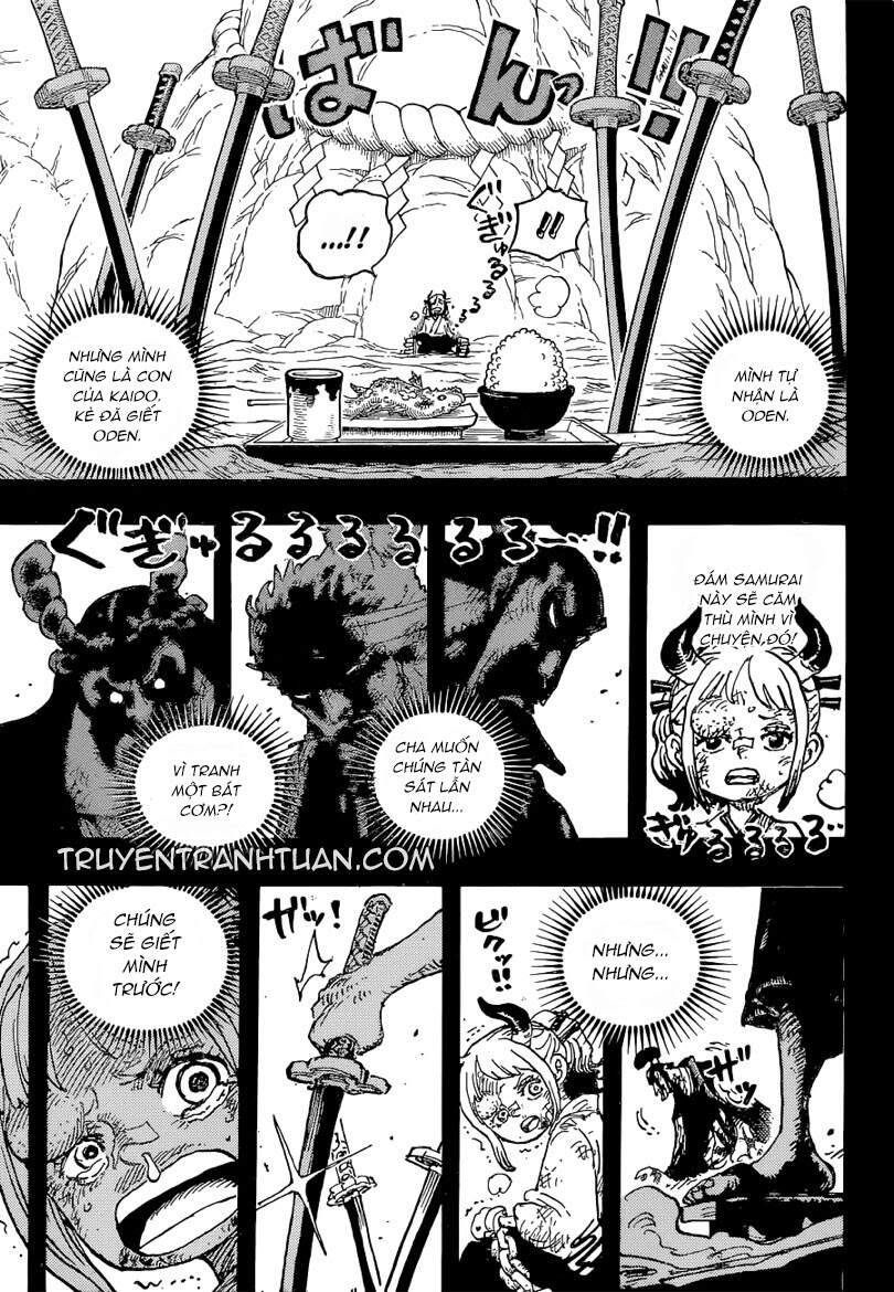One Piece Tập 1024 - Trang 14