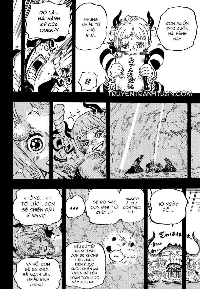 One Piece Tập 1024 - Trang 17