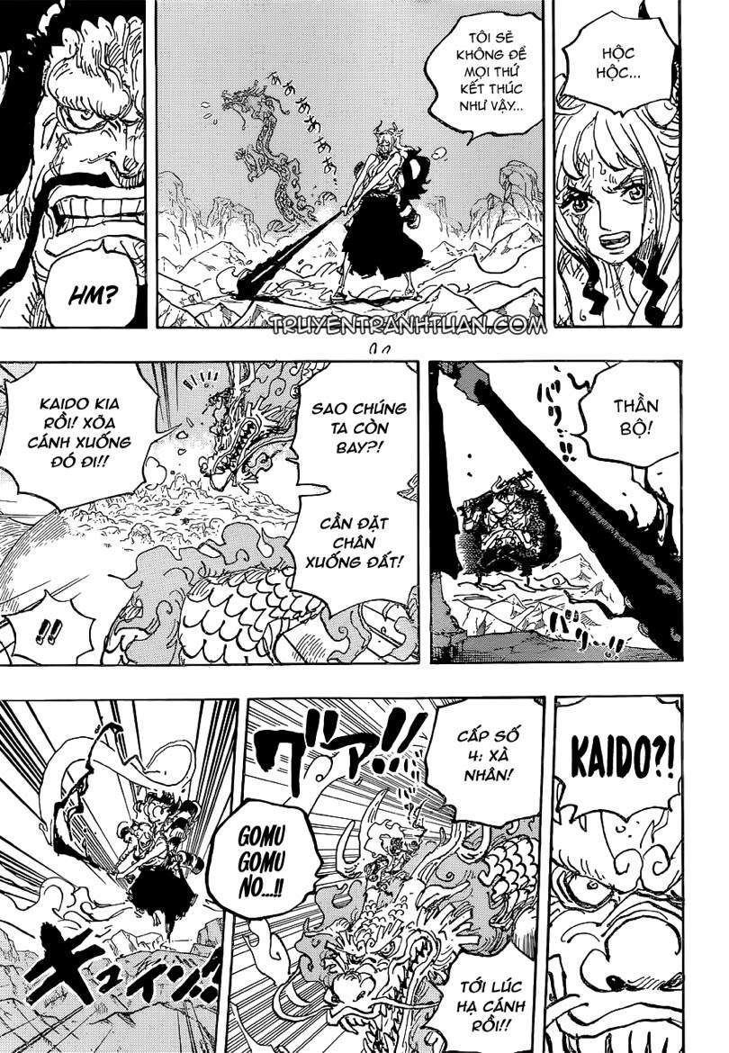 One Piece Tập 1025 - Trang 14