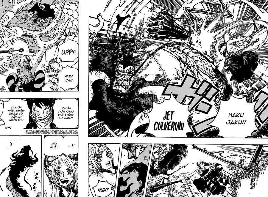 One Piece Tập 1025 - Trang 15