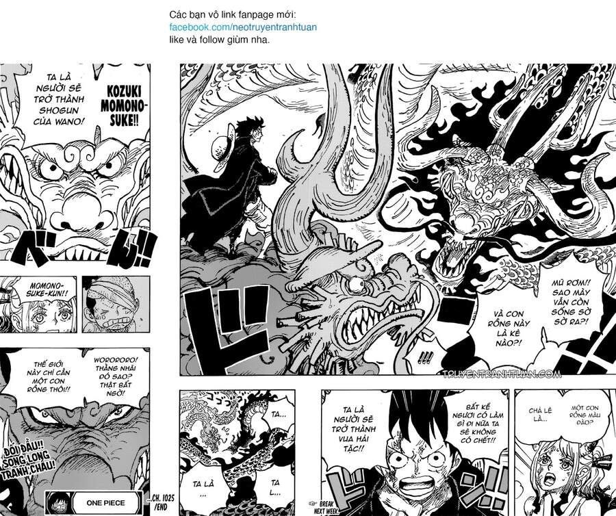 One Piece Tập 1025 - Trang 16