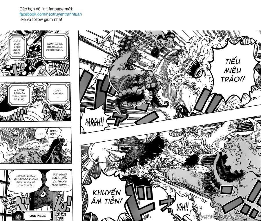One Piece Tập 1026 - Trang 14