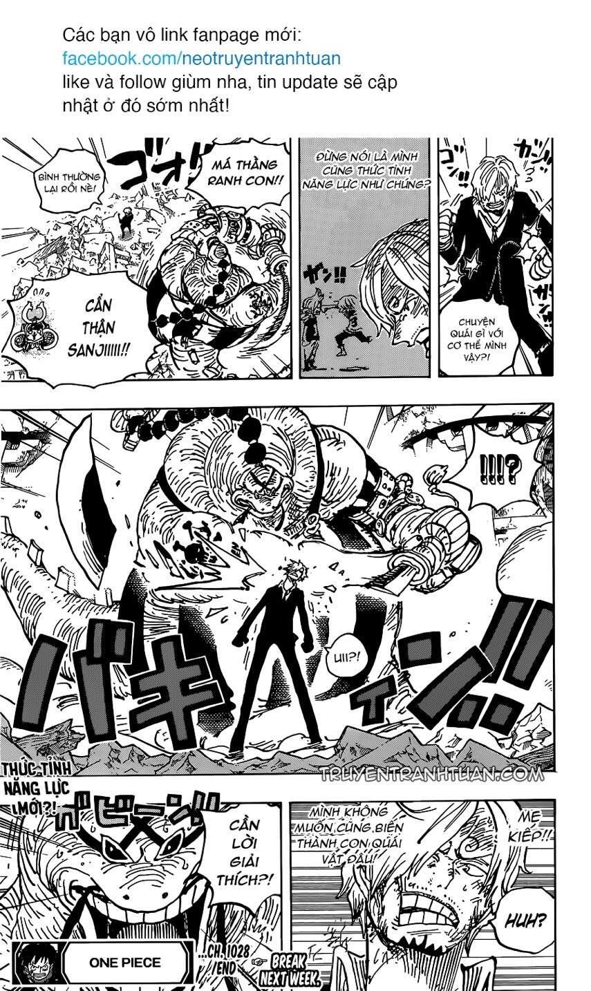 One Piece Tập 1028 - Trang 17