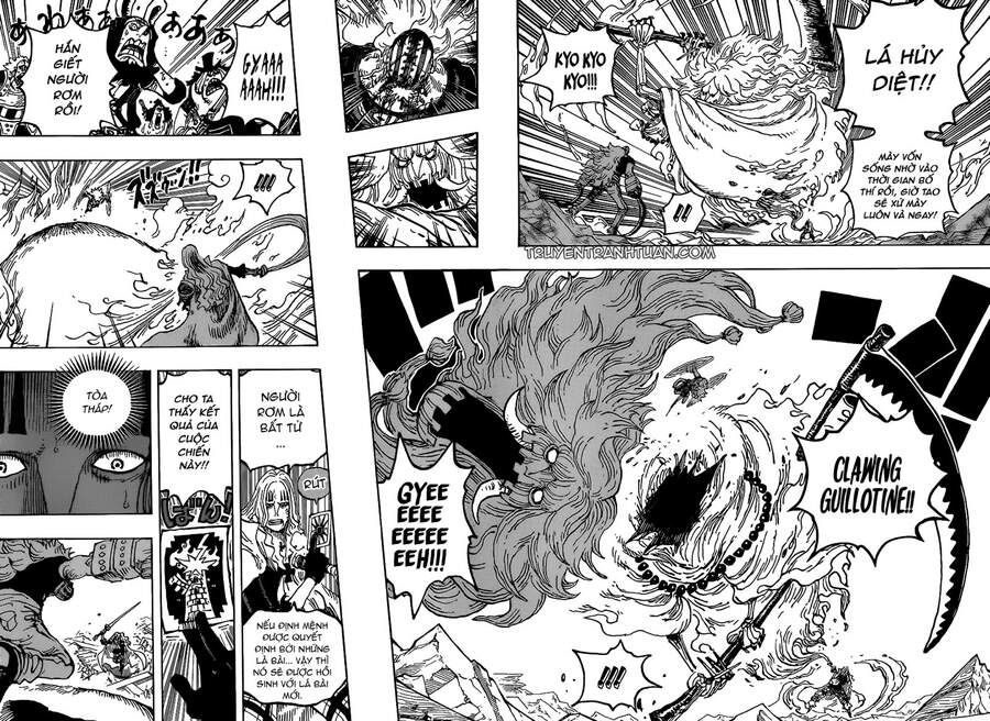 One Piece Tập 1029 - Trang 13