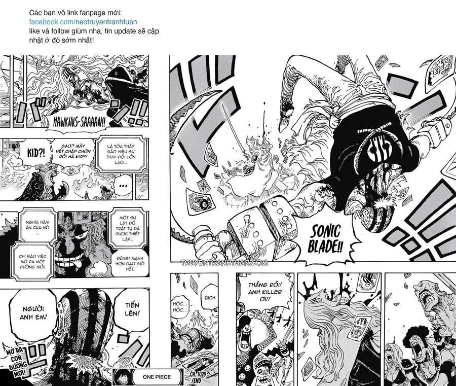 One Piece Tập 1029 - Trang 14