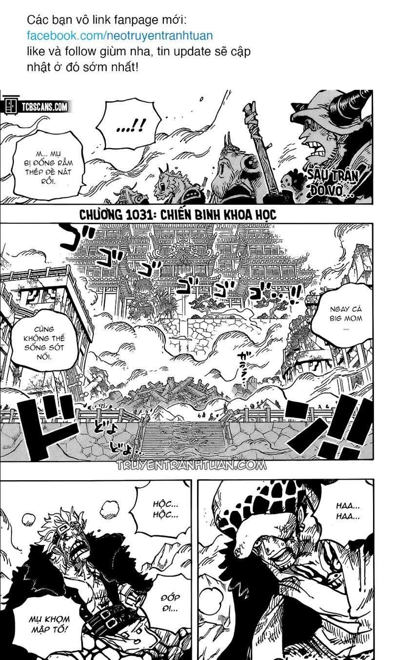 One Piece Tập 1031 - Trang 3