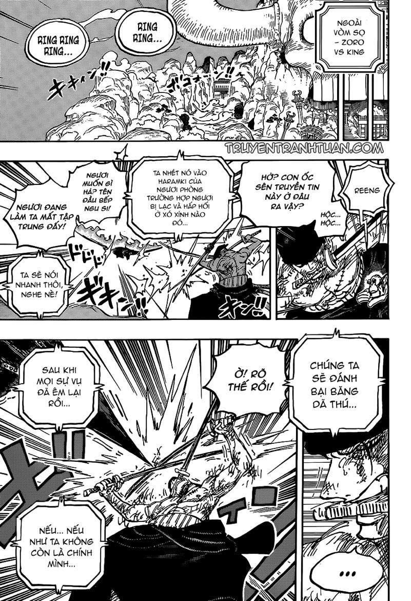 One Piece Tập 1031 - Trang 16