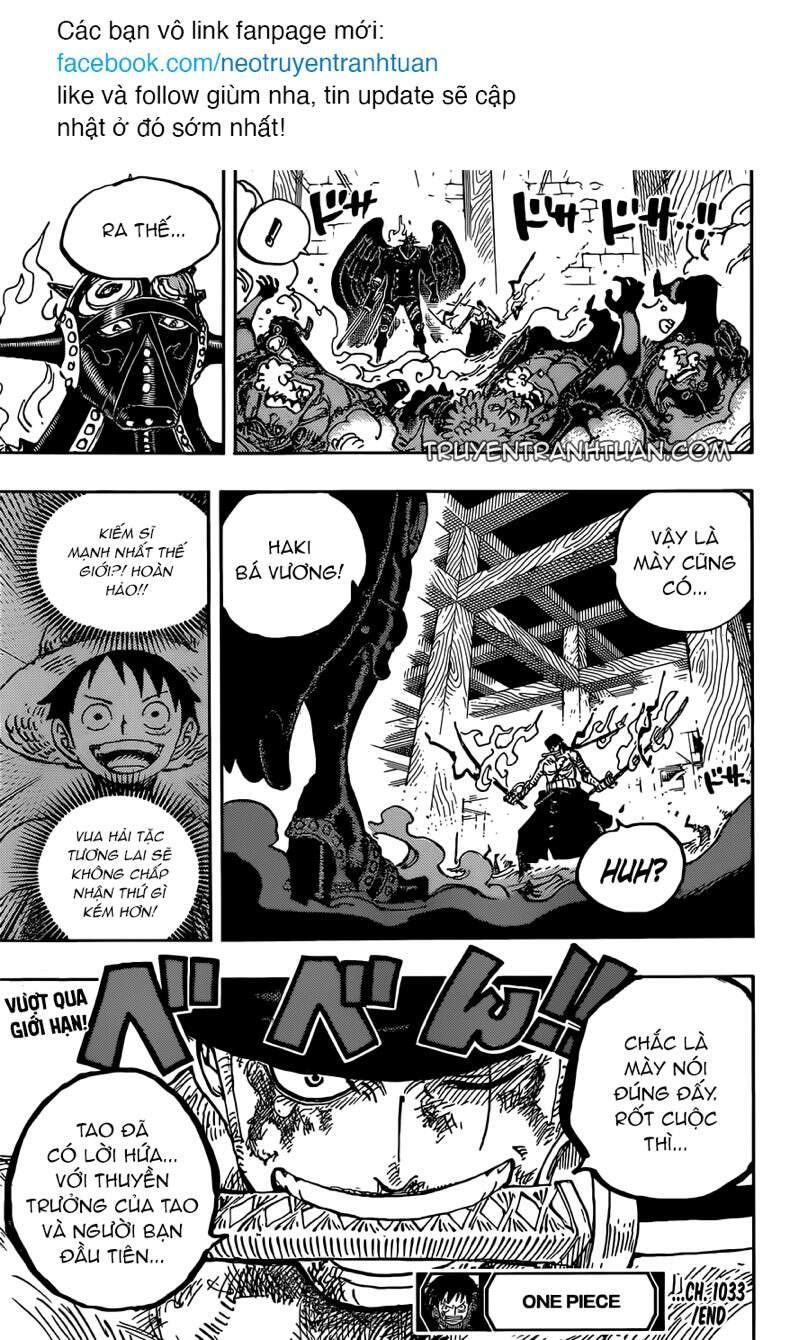 One Piece Tập 1033 - Trang 17