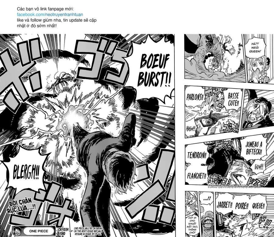 One Piece Tập 1034 - Trang 13