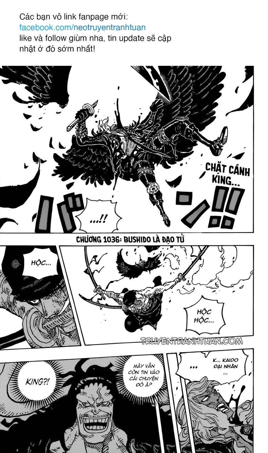 One Piece Tập 1036 - Trang 2
