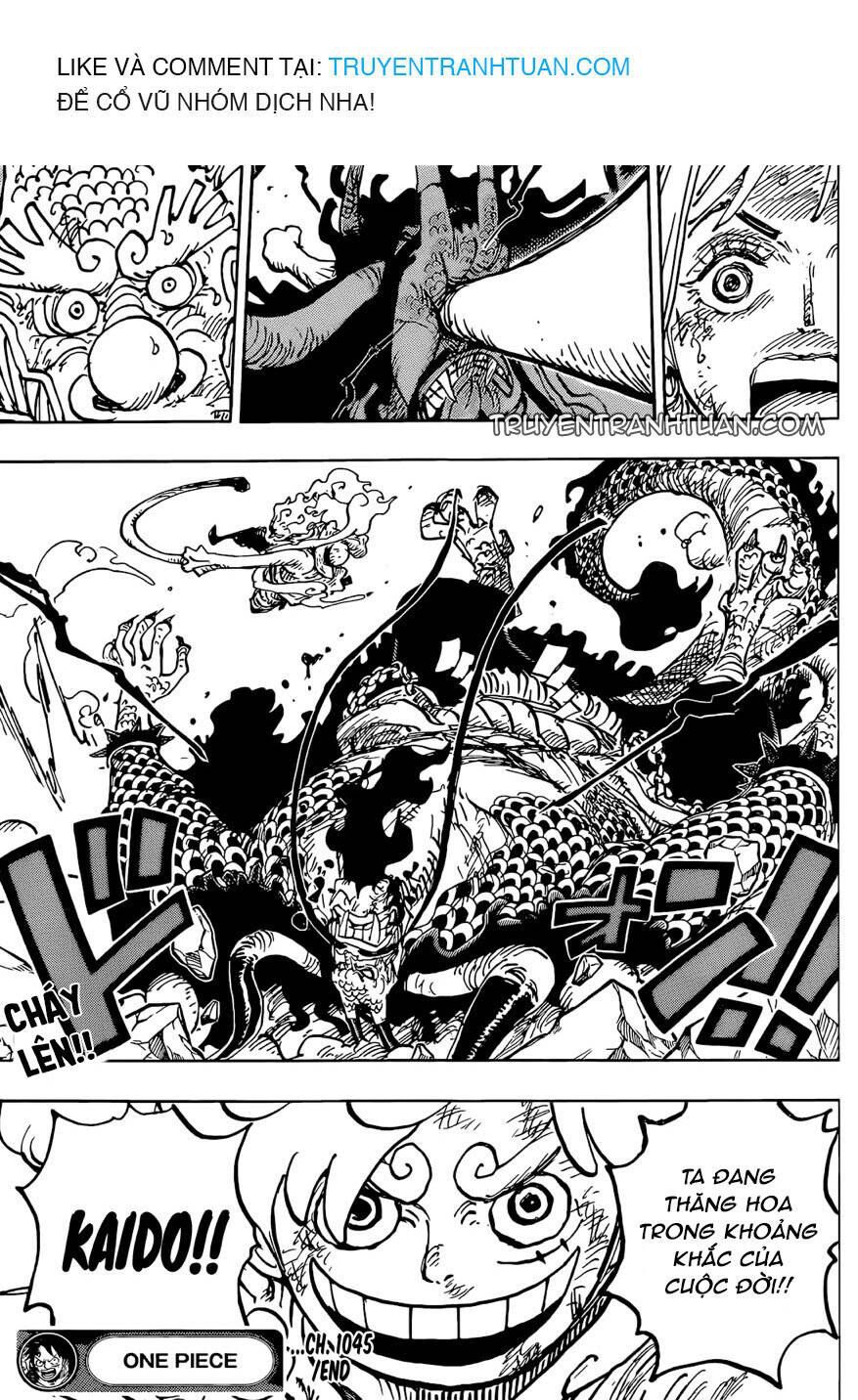One Piece Tập 1045 - Trang 17