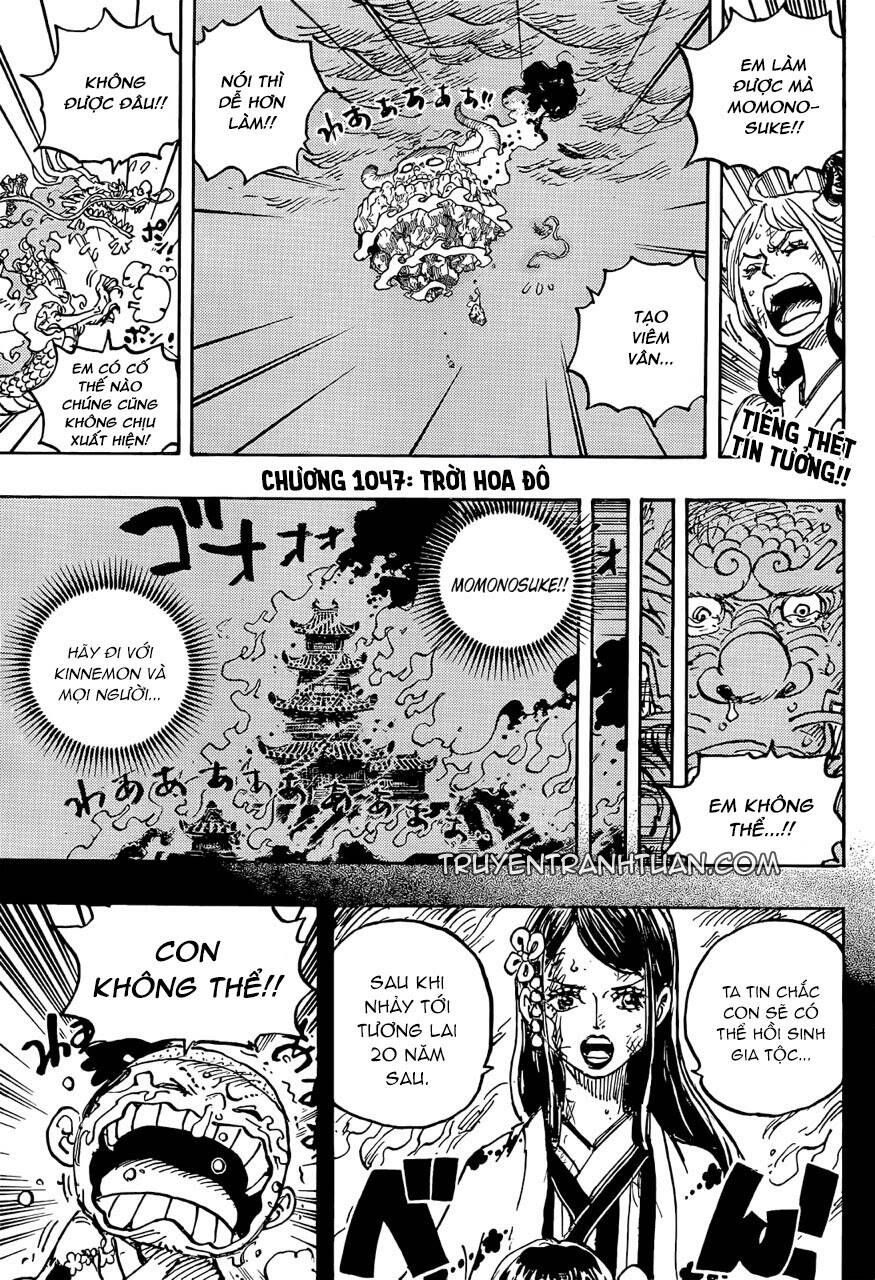 One Piece Tập 1047 - Trang 3