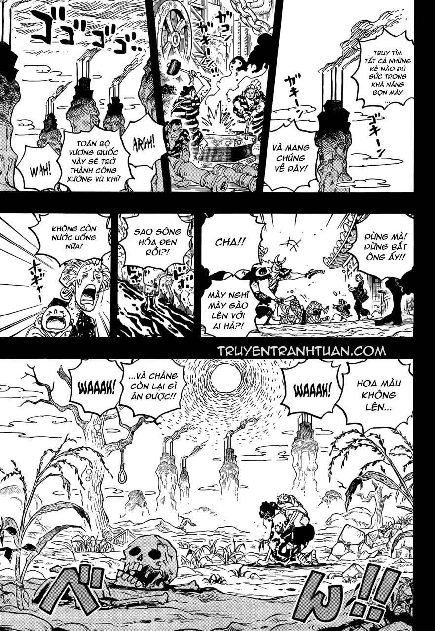 One Piece Tập 1048 - Trang 11
