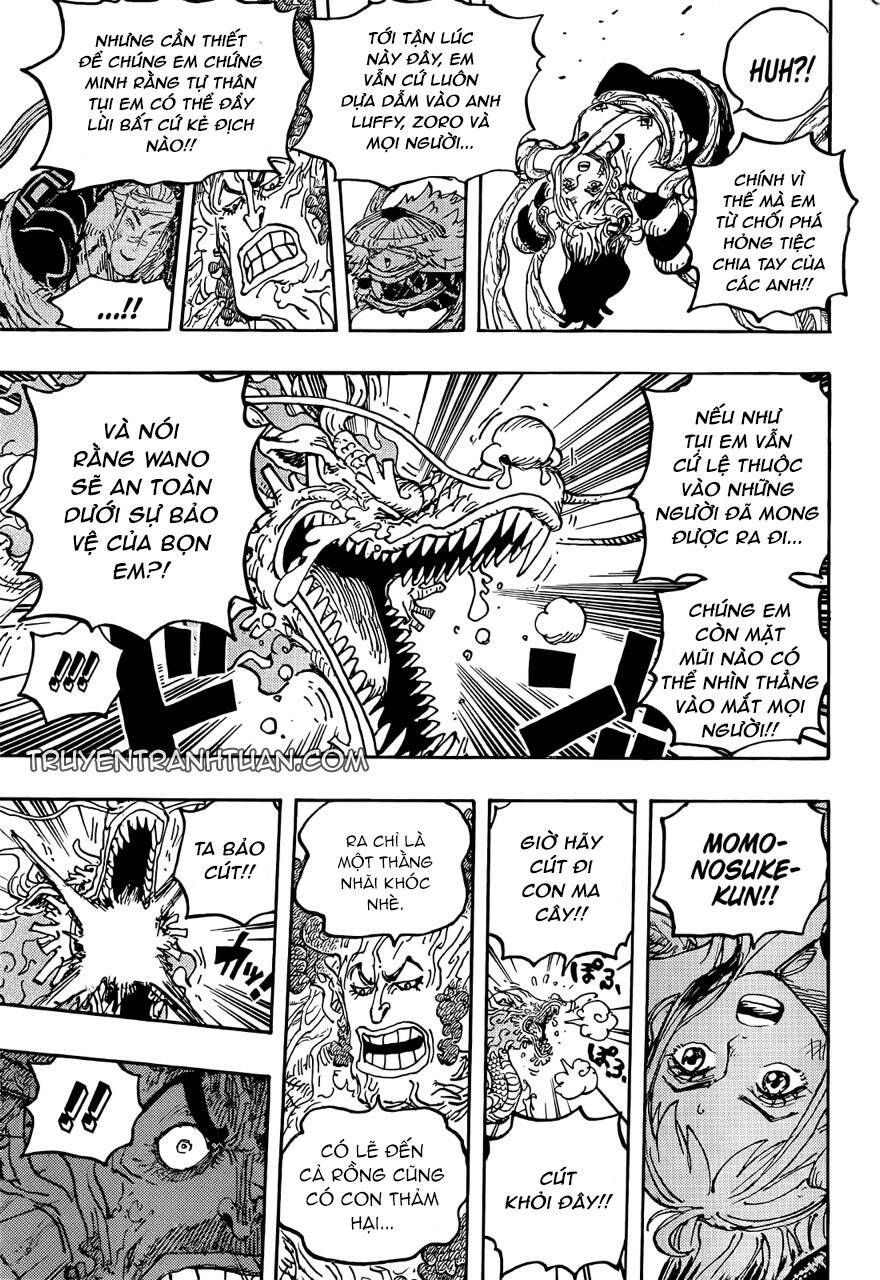 One Piece Tập 1055 - Trang 13