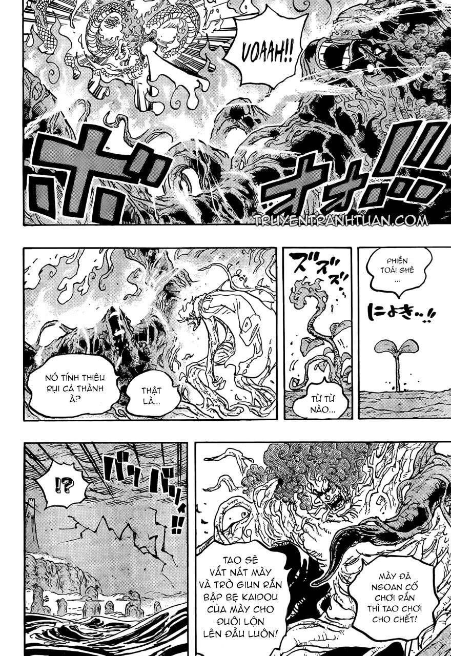 One Piece Tập 1055 - Trang 15
