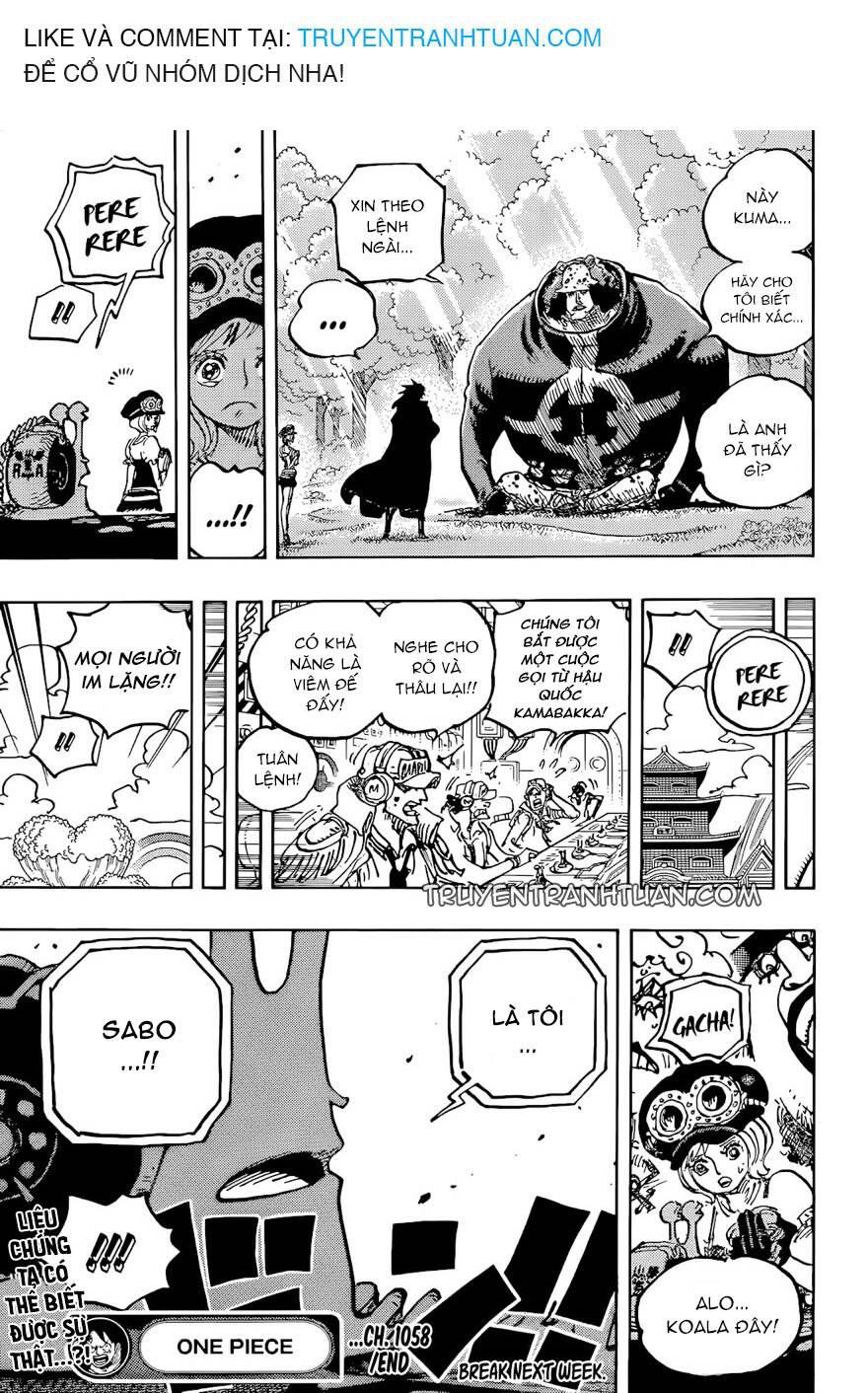 One Piece Tập 1058 - Trang 16