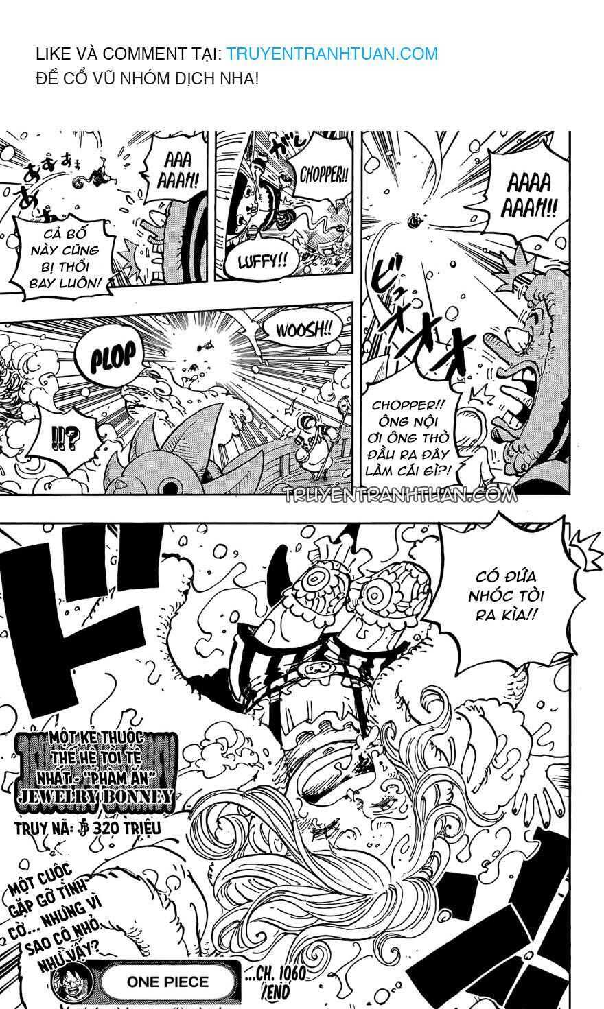 One Piece Tập 1060 - Trang 17