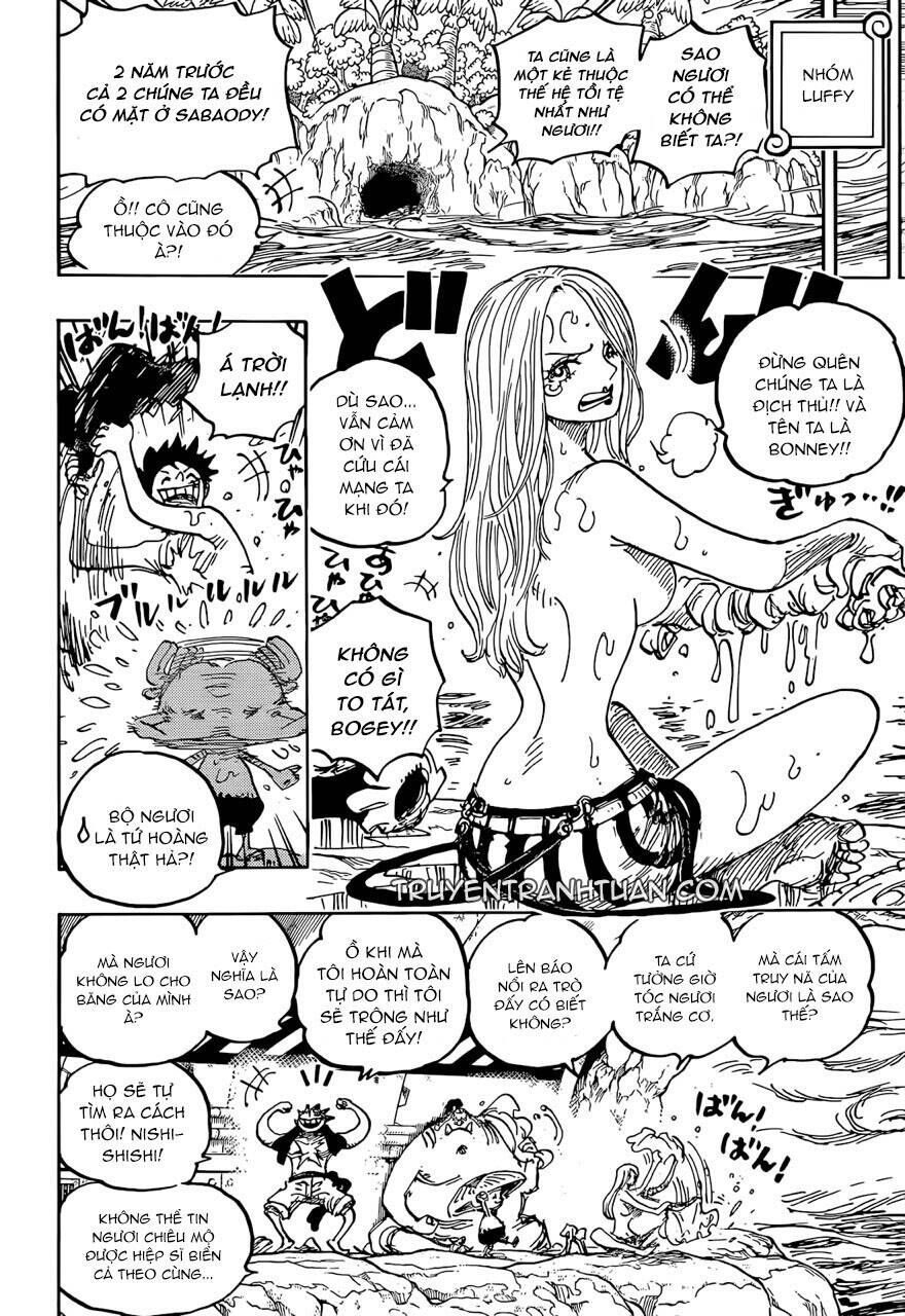 One Piece Tập 1061 - Trang 11