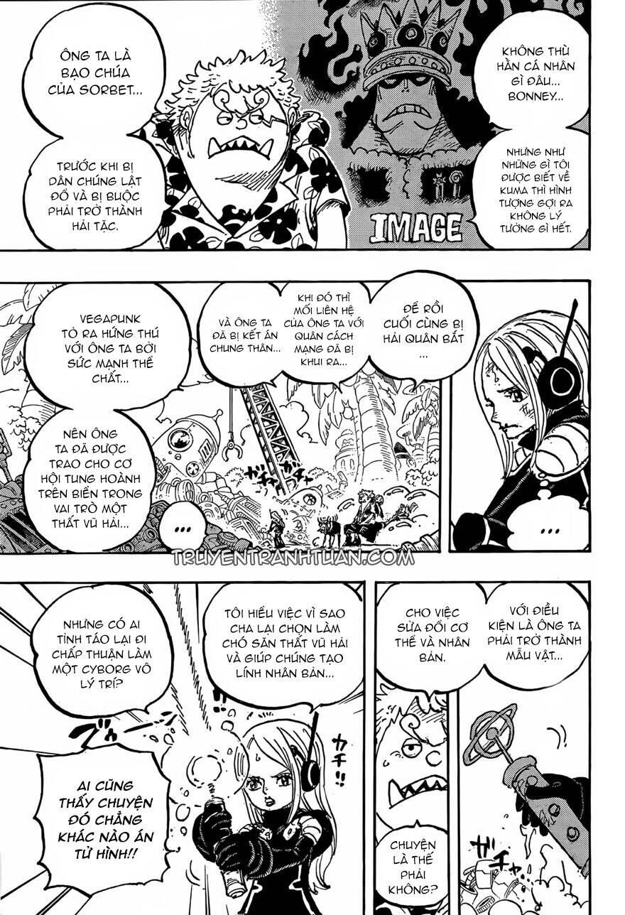 One Piece Tập 1064 - Trang 10