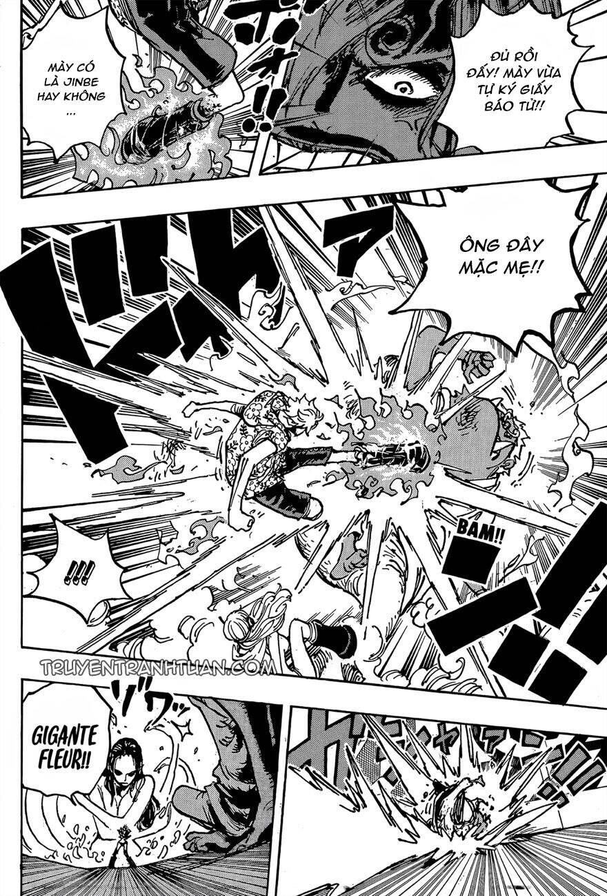 One Piece Tập 1065 - Trang 10