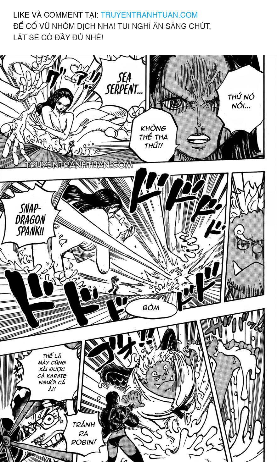 One Piece Tập 1065 - Trang 11