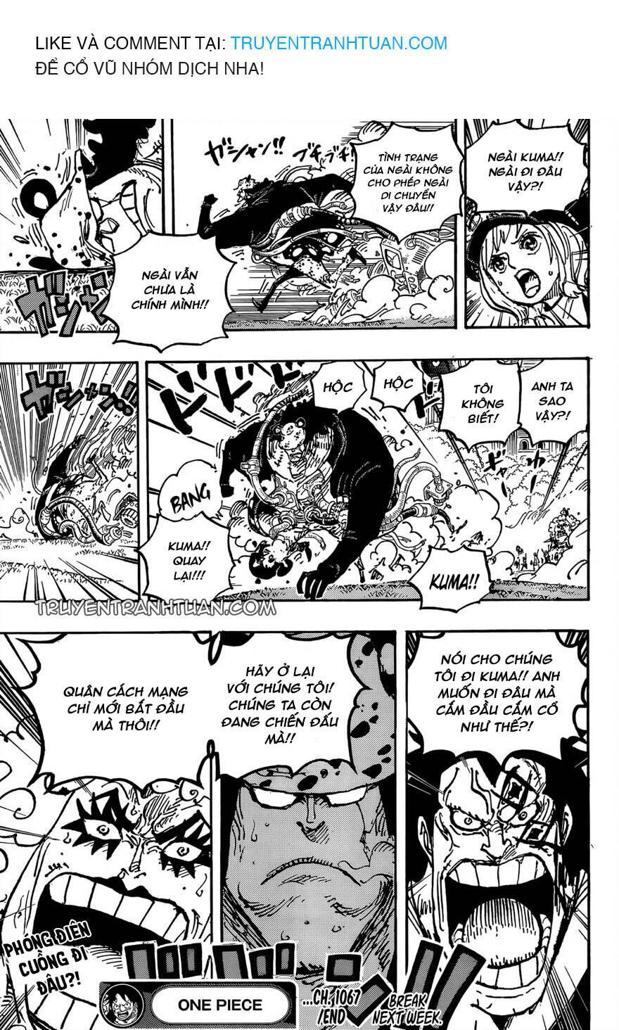 One Piece Tập 1067 - Trang 16