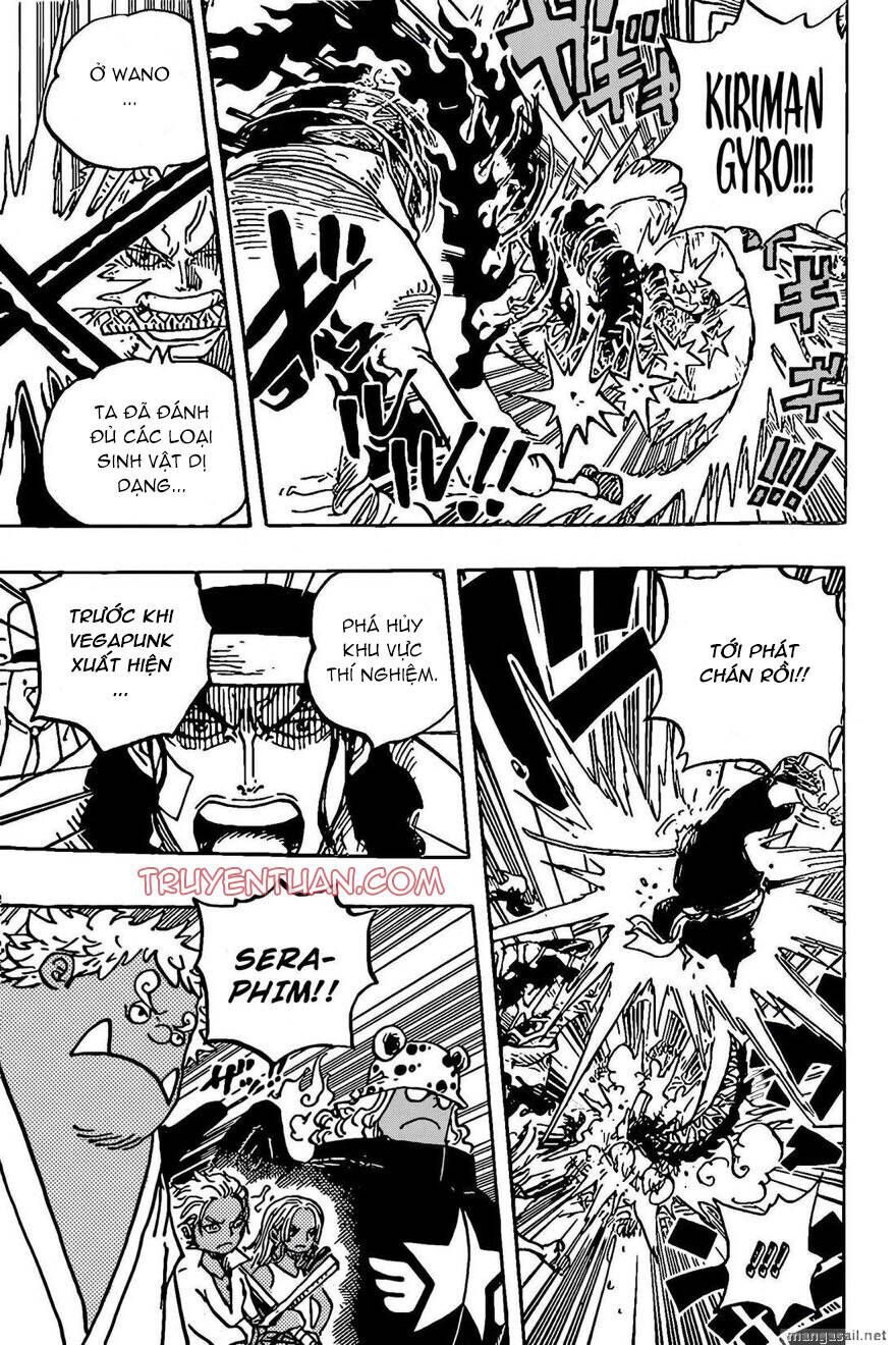 One Piece Tập 1072 - Trang 14