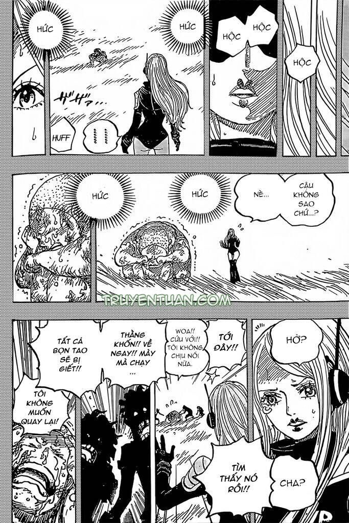 One Piece Tập 1074 - Trang 11