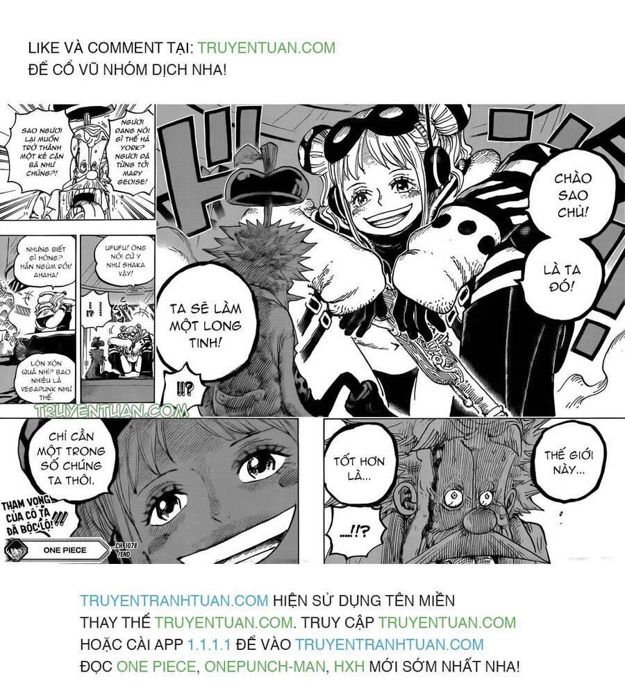 One Piece Tập 1078 - Trang 14