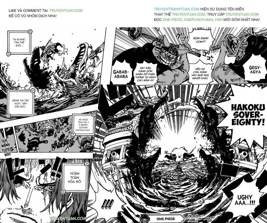 One Piece Tập 1079 - Trang 12
