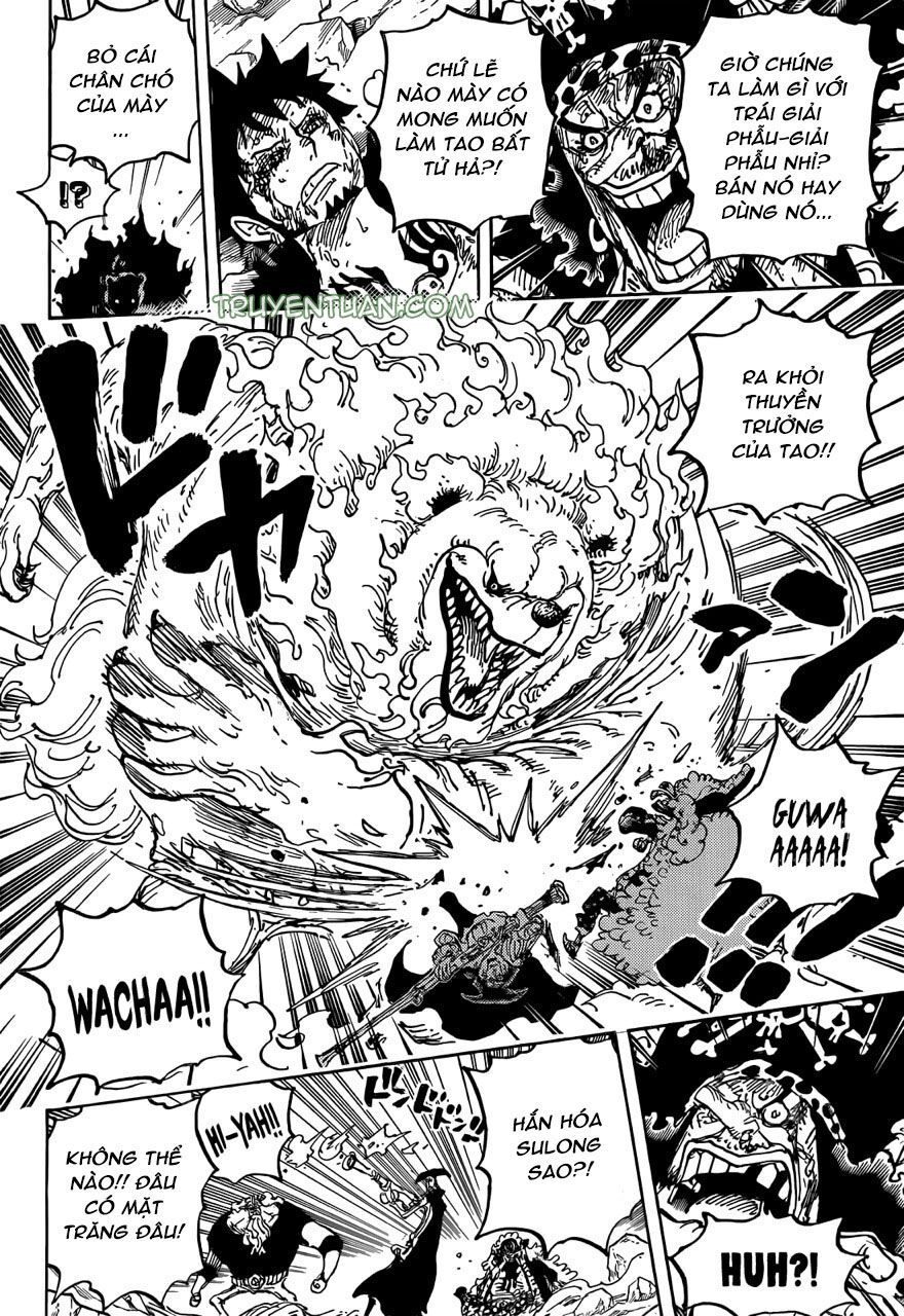 One Piece Tập 1081 - Trang 14