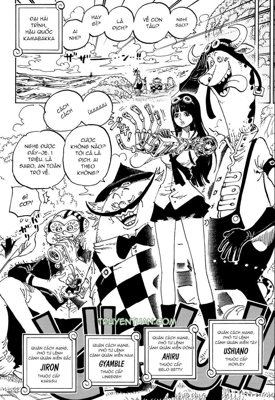 One Piece Tập 1082 - Trang 11