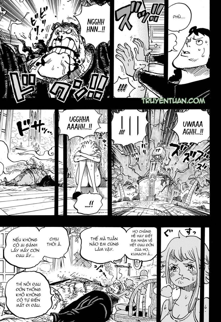 One Piece Tập 1097 - Trang 6