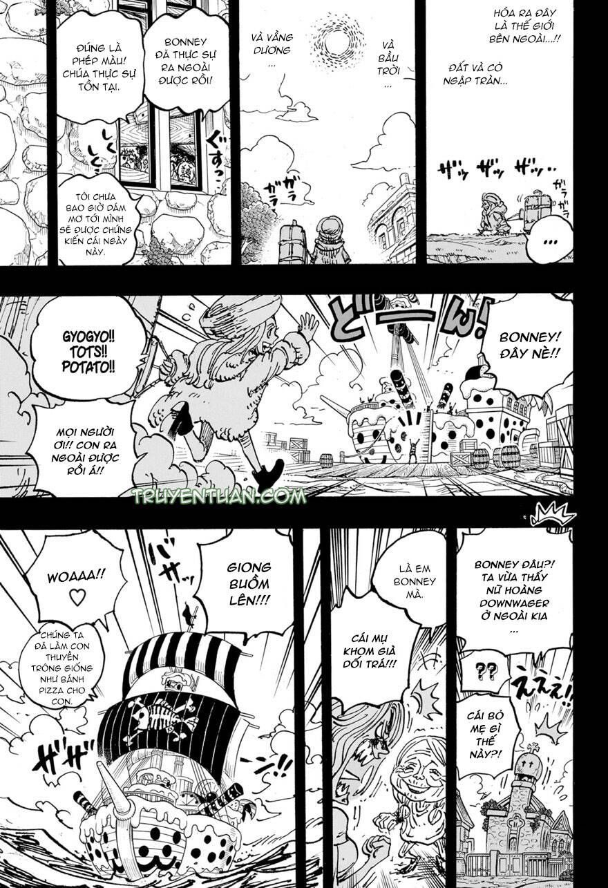 One Piece Tập 1101 - Trang 15