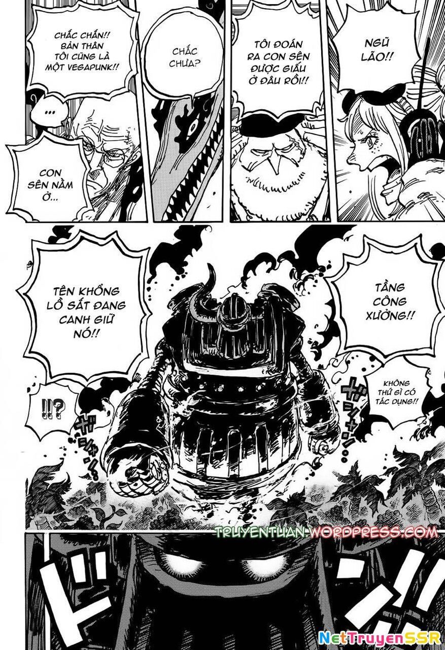 One Piece Tập 1116 - Trang 11