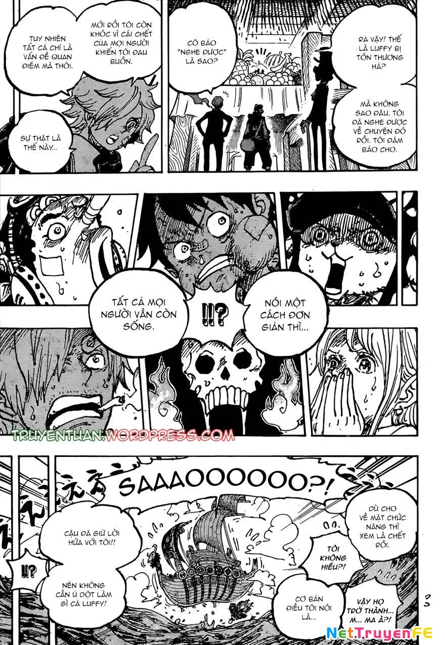 One Piece Tập 1124 - Trang 10