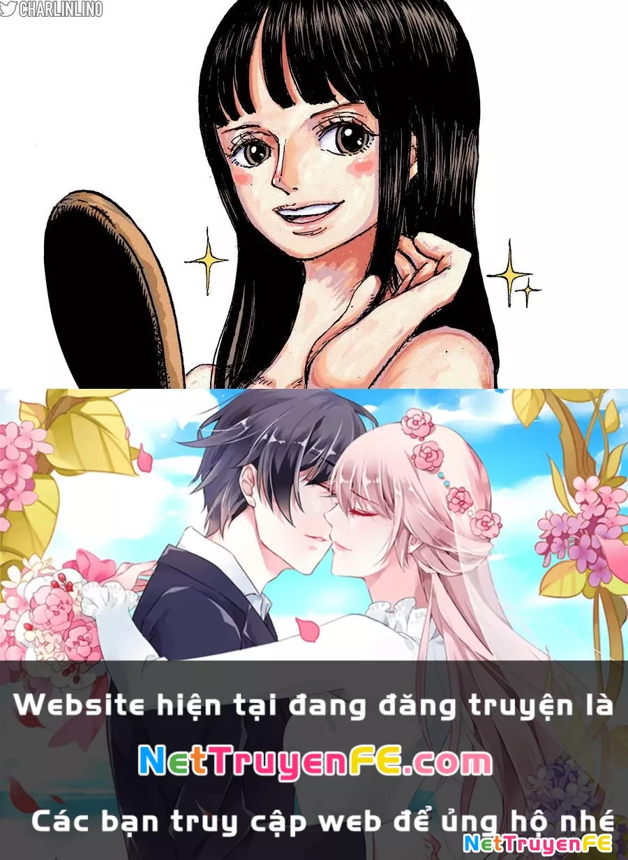 One Piece Tập 1131 - Trang 15