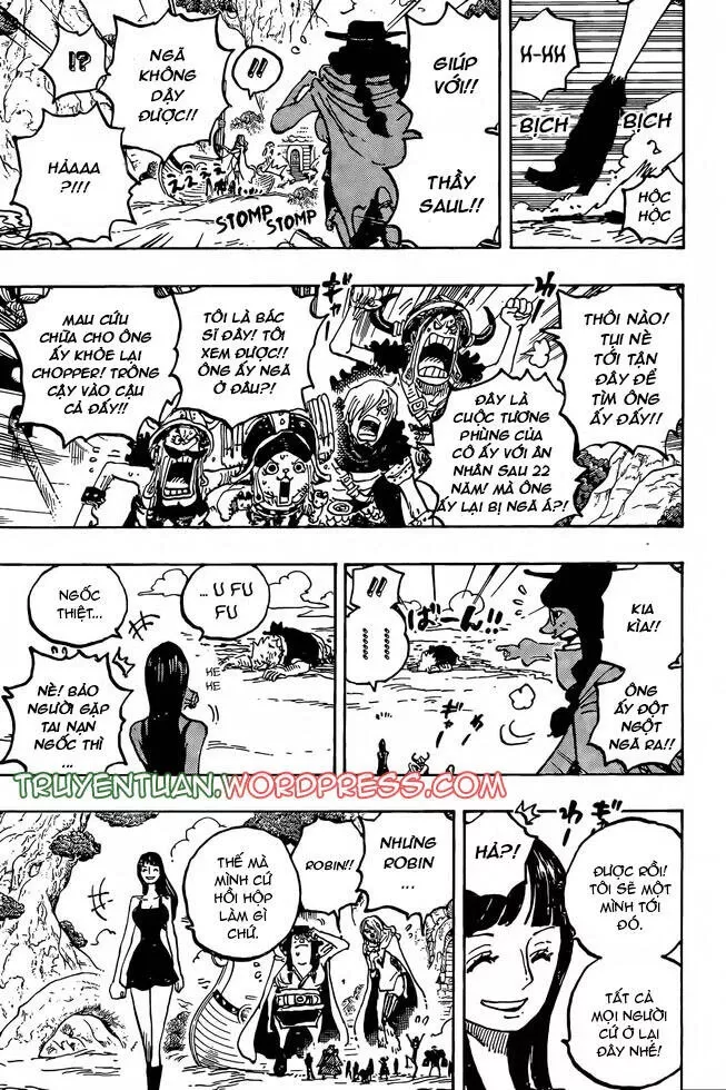 One Piece Tập 1133 - Trang 9