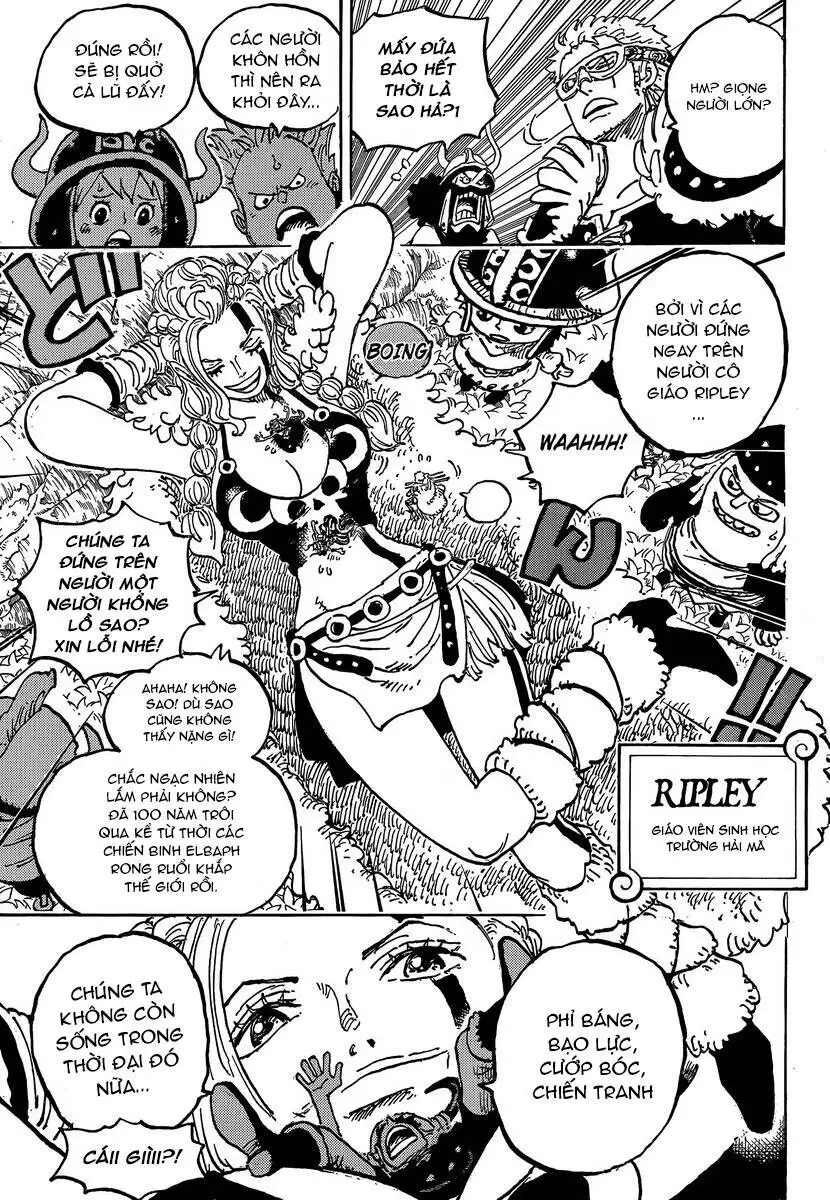One Piece Tập 1134 - Trang 7