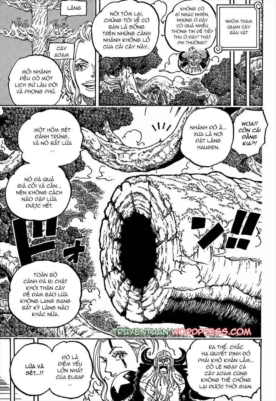 One Piece Tập 1141 - Trang 3
